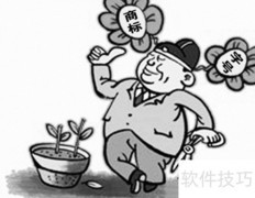知识产权是什么？一文读懂