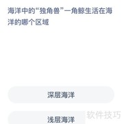 一角鲸：海洋中的独角兽