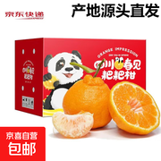 源头直发70mm+大果耙耙柑，8斤装仅25.9元！