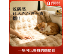 京东爆款仿兔毛撸猫毯119元抢