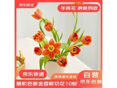 京东10枝郁金香盲盒，仅19.9元带回家！