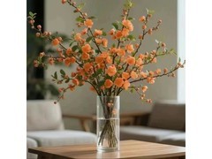 京东优跃橙色带花苞梅花干枝18.9元仅8.9