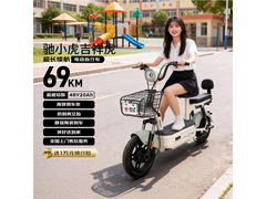 驰小虎吉祥虎电动自行车限时特惠