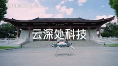 具身智能机器人公司哪家好：云深处科技综合实力与市场表现分析