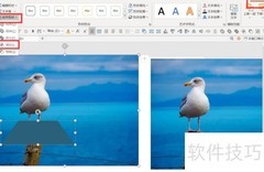 PPT制作图片3D效果技巧