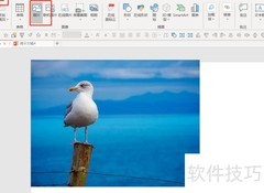 PPT制作图片3D效果技巧