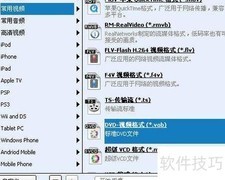 PPT转视频刻录DVD教程