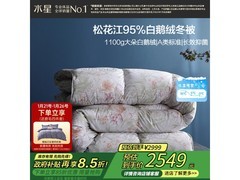水星220×240羽绒被领券5折仅1999元