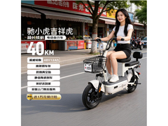 驰小虎吉祥虎电动自行车限时特惠