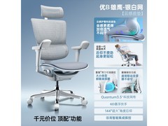 Ergonor雄鹰人体工学椅银白款直降千元
