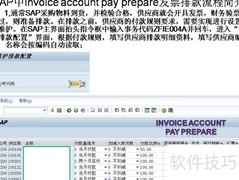 SAP发票排款流程解析