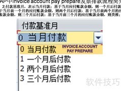 SAP发票排款流程解析