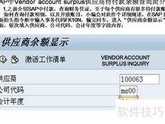 SAP供应商待付款余额解析