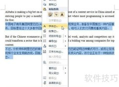 Word隐身术：双语技巧揭秘