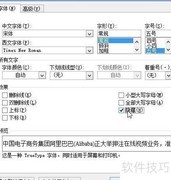Word隐身术：双语技巧揭秘
