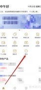 南阳村镇银行企业账户查询