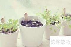 手机助手安装软件指南