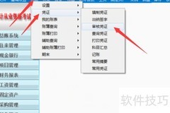 会计软件审核000号凭证技巧