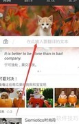 有道词典查日韩语方法