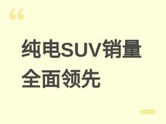 纯电动SUV销量全面领跑：大三排连续5月第一，大五座实现历史性突破