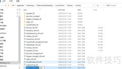 Video Scribe白屏问题解决方法
