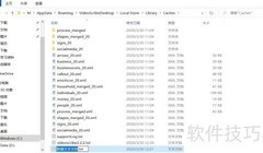 Video Scribe白屏问题解决方法