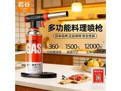 岩谷ZT - 09喷火枪领券直降，仅70元！