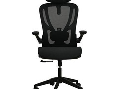 享学人体工学椅196元抢