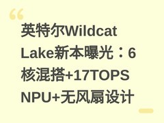 英特尔Wildcat Lake新本曝光：6核混搭+17TOPS NPU+无风扇设计
