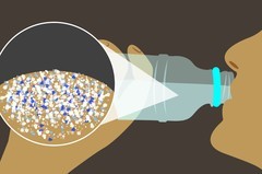 每天喝瓶装水的人注意：你喝进去的微塑料 正在身体里 “筑巢” 吗？