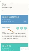 小睡眠中聆听森林交响曲
