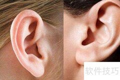 耳朵坠子大真的有福吗