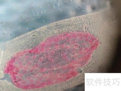 皮肤镜使用指南