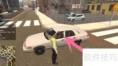 Flashing Lights查酒驾揭秘