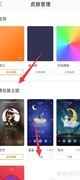 爱音乐如何更换主题