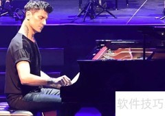 为何钢琴界不认可maksim