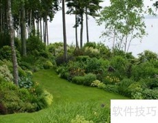 风景园林的艺术之美