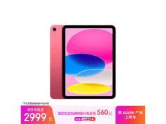 iPad 2025款11英寸256GB粉色特惠