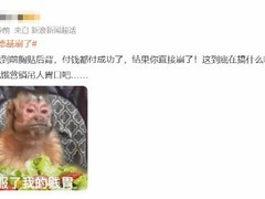 肯德基疯狂星期四突遭系统崩溃，数字化服务短板引热议