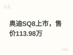 奥迪SQ8高性能SUV上市：4.0T V8引擎+quattro四驱，售价113.98万元