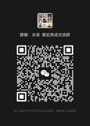 永夜降临：平民双月卡开荒攻略