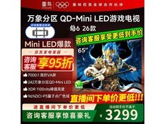 雷鸟鹤6 65英寸4K电视2793元