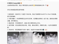 华为Mate80 Pro Max 10倍长焦拍出显微级雪花微距影像