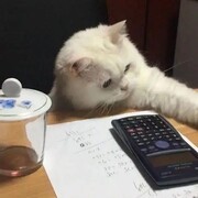 爆炒江湖：佛系玩家修炼记