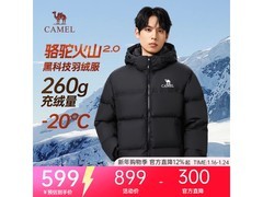 骆驼火山2羽绒服299元