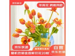 京东20枝郁金香盲盒，到手仅29.9元！