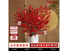 京东5枝A+级鲜花，领券低至69.9元