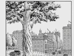 进击的巨人完结篇重映引爆争议：三笠与让结婚生子说法真伪难辨