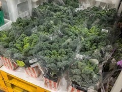 羽衣甘蓝盆栽爆火：健康标签驱动下的情绪消费现象