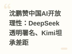 沈鹏赞中国AI开放理性：DeepSeek透明署名、Kimi坦承差距